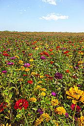 《星球大战：前线3》被取消前制作已接近完成